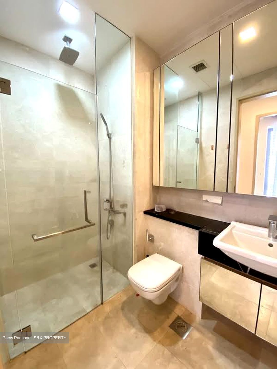 The Boutiq (D9), Apartment #559670441